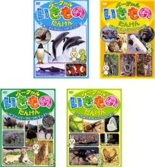 Peeping Life ピーピング・ライフ(4枚セット)イエロー盤、ピンク盤