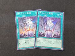 YG 遊戯王 超逸融合 ウルトラレア BLZD-JP069 2枚セット ※商品説明文