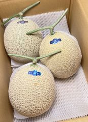糖度19!! 「太陽の華」富良野メロン 2玉 品種：ティアラ - メルカリ