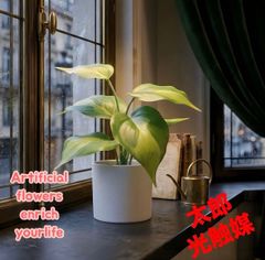 光触媒 観葉植物 ウォールグリーン フェイクグリーン クネクネパキラ
