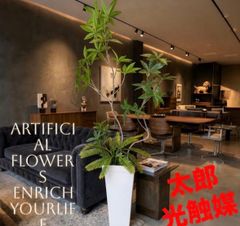 光触媒 観葉植物 ウォールグリーン フェイクグリーン クネクネパキラ