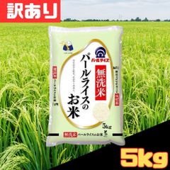 パールライスのお米 5kg2袋セット【エコメルカリ便設定お願いいたし