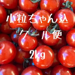 青森県産☆こだわりのミニトマト - メルカリ