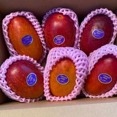 宮崎完熟マンゴー 訳あり 6玉 約1.8kg 冷蔵発送 - メルカリ
