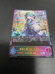 カースドソーサラー・リーズ SL仕様プロモ シャドウバースエボルヴ