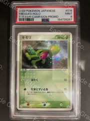 大特価 キモリ セブンイレブンプロモ ADV【ポケモンカード】 - メルカリ