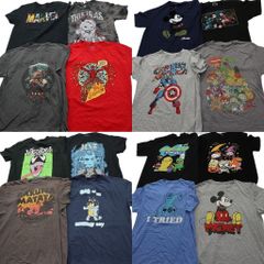 古着卸 まとめ売り 映画・ドラマ Tシャツ 16枚セット ( メンズ XL/2XL ) ボーイズンザフット ハリーポッター スターウォーズ 中古  NF9180 古着卸 まとめ売り 映画・ドラマ Tシャツ 16枚セット ( メンズ XL/2XL