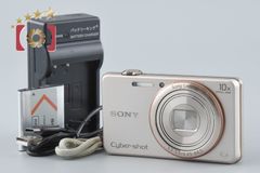 動作品]SONY Cybershotコンデジ 本体DSC-WX300 ブラウン - メルカリ