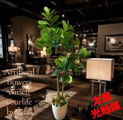 光触媒 観葉植物 ウォールグリーン フェイクグリーン クネクネパキラ
