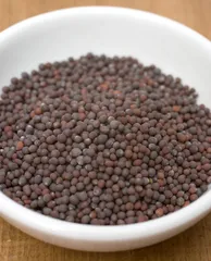 マスタードシード - Mustard Seed 500g AMBIKA(アンビカ) / マスタード Mustard 辛子のサムネイル