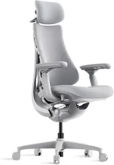 【開封済・未使用品】LiberNovo Omni Smart Dynamic エルゴノミックチェア（スペースグレー）のサムネイル