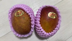 本日一箱のみ！現物発送　甘くて美味しい　沖縄産マンゴー　2玉　クール便のサムネイル