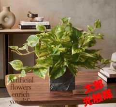 光触媒 観葉植物 ウォールグリーン フェイクグリーン スリムパキラ