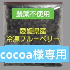 ブルーベリー 8キロ 冷凍 まとめ売り - メルカリ