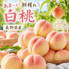 山梨県産　川中島白桃　4kg (大玉)訳あり5.8kg 山梨県産 川中島白桃 4kg (大玉)訳あり5.8kg 楽天市場】川中島