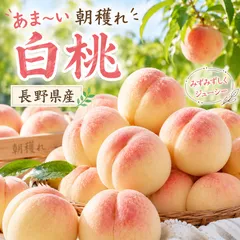 長野県産 白桃 川中島 あかつき 等 約2kgのサムネイル