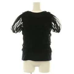 クラネ CLANE 25SS TULLE VEST LAYERED TOPS チュール ベスト 半袖カットソー レイヤード 切替 1 ブラック /MY ■OSのサムネイル