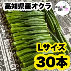 夏野菜 【高知県産オクラ】Lサイズ 30本 産地直送 野菜のサムネイル