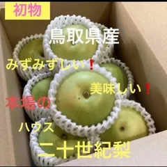 鳥取県産 ハウス二十世紀梨のサムネイル