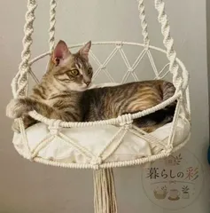 猫ハンモックベッド 吊り下げ式 壁掛けクッション付きのサムネイル