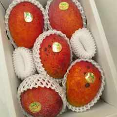 マンゴー ドラゴンフルーツ　セット　沖縄産　合計４kgのサムネイル