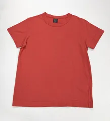 ホームスパン　homspun 半袖Tシャツ　朱赤　バーミリオン　Mのサムネイル