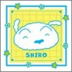 【野原シロ(フェイス&イエロー)】クレヨンしんちゃん シールコレクション2