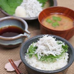 茨城県産採れたて 豇豆 三尺ささげ 約10kg - メルカリ