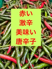 メルカリショップ金額　2kg   超ーー辛い！＆旨い！大分県産 唐辛子のサムネイル