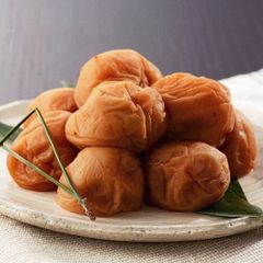 カイチさん専用‼️函館近郊産豊後梅2L24キロ - メルカリ