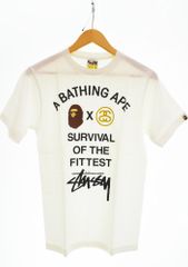 アベイシングエイプ A BATHING APE STUSSY SURVIVAL OF THE FITTEST プリントTEE Tシャツ ホワイト Sサイズ 103MT-5020