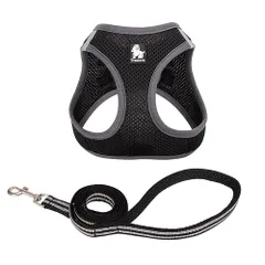 J&C paradise ペット用ハーネス リードセット メッシュ 軽量 反射素材 小型犬 猫 サイズ調整可能 通気性 着脱簡単 Truelove (ブラック, M)のサムネイル
