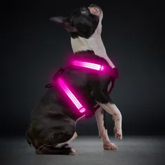 光る犬 ハーネス LED USB充電式 小型犬用ライトアップハーネス 子犬・猫用 反射バンド付き 安全・軽量・調節可能・通気性良好 夜間散歩 訓練 耐久性 暗闇で光る(ピンク)のサムネイル