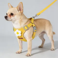 Orirya 犬用ハーネス リードセット 小型犬 胴輪 ベスト型 1.2mリード かわいい立体飾り 調節可能 メッシュ 軽量 抜けにくい 散歩用 イエロー花 Mのサムネイル
