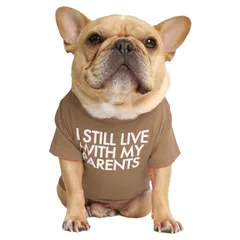 RIOSTUDIO 犬服 春 夏 (S～XXLまで5サイズ展開) 犬の服 夏用 Tシャツ シンプル 涼しい 通気 おしゃれな英文字プリント わんこ服 小型犬 中型犬 大型犬 猫服 防虫 抜け毛防止 ルームウェア 犬用(⑰[I STILL LIVE]×ブラウン,のサムネイル
