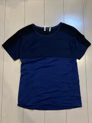 【233456】STRENESSE ストラネス  半袖Tシャツ　カットソー　切替　　コットン100％　ストレッチ　プルオーバー　クリーニング済　D34  ・ ブルーのサムネイル