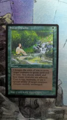 MTG　Sylvan Paradise　英語
