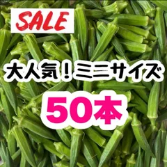 ミニ 50本 高知県産 野菜 オクラ即購入OK 産地直送  nll5のサムネイル