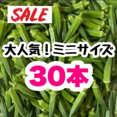ミニ 30本 高知県産 オクラ 野菜 即購入OK 産地直送 nffのサムネイル