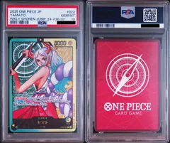 2026年最新】レカフィグ psa10の人気アイテム - メルカリ