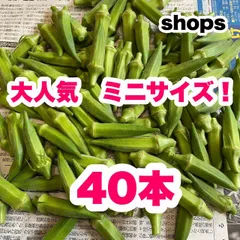 夏野菜 【小さなオクラ 】A品＆B品  40本 野菜 農家直送！のサムネイル