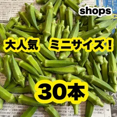 夏野菜 【小さなオクラ 】A品＆B品  30本 野菜 農家直送！のサムネイル