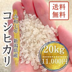 令和7年産 新潟県産コシヒカリ 10kg 玄米 - メルカリ