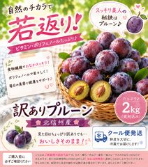 本州クール便送料込み 2kg【信州中野産 プラム（静香・大石早生ほか