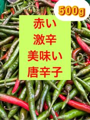 沖縄久米島産粉末島唐辛子20g✕2個セット - メルカリ