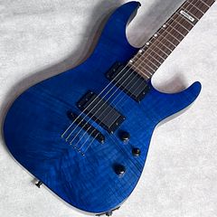 Fernandes APG-85 PRS Gibson TAK DC 風 - メルカリ