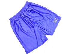 MIZUNO ミズノ サッカー ロゴプリント ハーフ パンツ sizeO/青 ■■ メンズのサムネイル