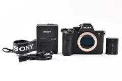 2026年最新】sony a7rvの人気アイテム - メルカリ