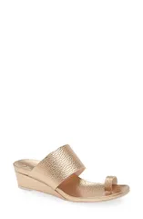 ペドロガルシア レディース シューズ ヒール サンダル Pedro Garcia Weilis Wedge Slide Sandal Cava Cervo Lameのサムネイル