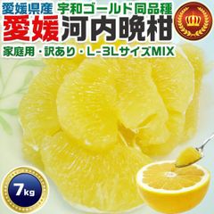 訳あり 愛媛県産 宇和ゴールド 河内晩柑 柑橘 10kg - メルカリ